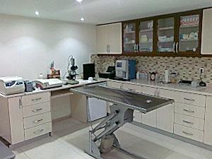 Beşiktaş Veteriner Tadilatı