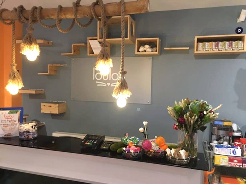 Ataşehir Petshop Dekorasyonu